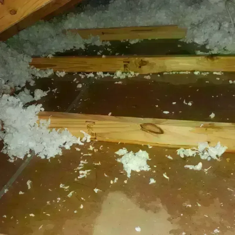 Attic Water Damage in Hot Springs Village, AR